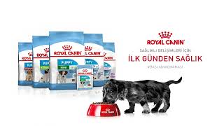 Pet İhtiyaç Royal Canın Puppy