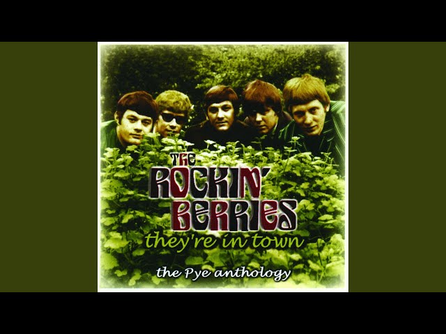 The Rockin' Berries - I Didn't Mean To Hurt You