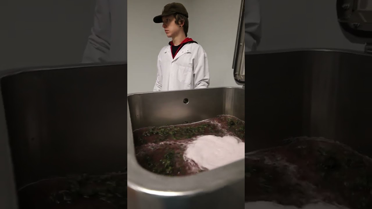 LTI Labz: Leiffa in Denver