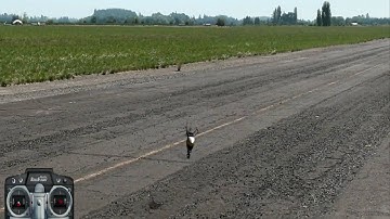 RealFlight G4.5 trex 500 inverted hover practice with blade scrapes