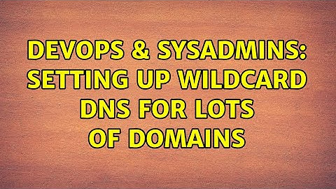 DevOps & SysAdmins: Setting up wildcard DNS for lots of domains