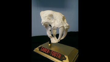 3D Printed Saber-Toothed Skull  - Time Lapse