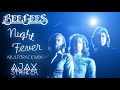 BEE GEES NIGHT FEVER AJAX S MULTITRACK MIX mp3