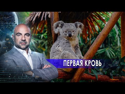 Первая кровь. «Как устроен мир" с Тимофеем Баженовым (19.01.21).