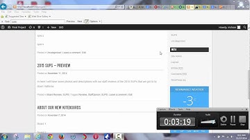 Customizing WordPress Widget Area for Final Project