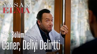 Caner, deliyi delirtti - Yasak Elma 156. Bölüm