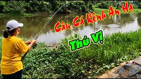 Câu Cá Kênh An Hạ Hóc Môn Một Ngày Thật Thú Vị