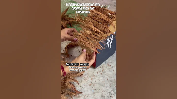 Bird house from coconut husk🥥🛖#wastematerialcraft #diyartandcraft #youtubeshort #youtubechannel