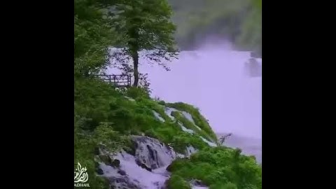 تلاوة تفوق الوصف للشيخ خالد الجليل ؛
