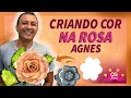 NOVA COR PÊSSEGO ROSADÊ NA ROSA AGNES | CRIANDO CORES