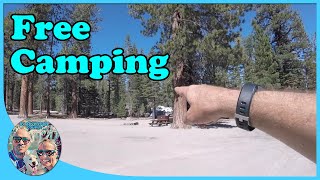 Hartley Springs - Free Camping Outside Yosemite National Park