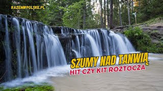 Szumy Nature Reserve on the Tanew River. The most beautiful place in Roztocze? Is it worth visiting? screenshot 2