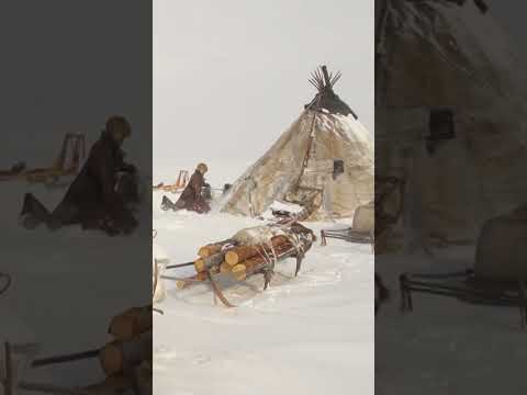 Video: Het Nenets-volk: definitie, kenmerken, hoofdactiviteit, outfits, foto's, historische tradities en rijke cultuur