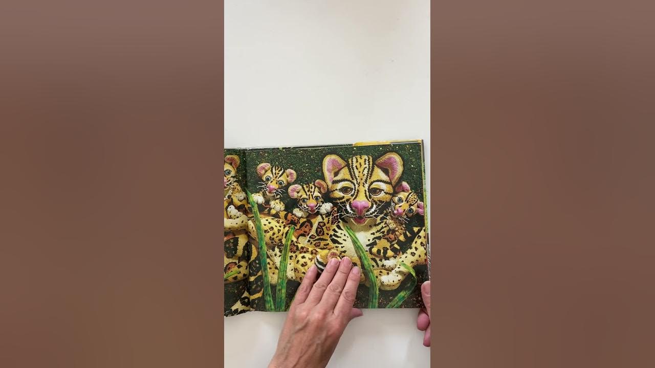 "Over in the Jungle, A Rainforest Rhyme" By Marianne Berkes, Illustrated by Canyon