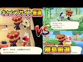 【あつ森】コレが最速で確実！「キャンプサイト厳選」と「離島厳選」のメリットデメリットをわかりやすく丁寧に解説します！【あつまれどうぶつの森】