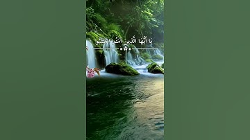القارئ سعد الغامدي - {يا أيها الذين آمنوا اجتنبوا كثيرا من الظن إن بعض الظن إثم}