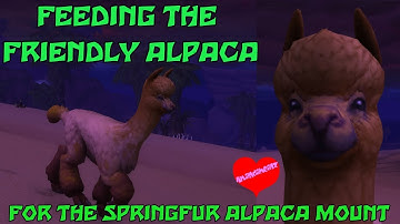 WoW BfA 8.3 - Feeding the Friendly Alpaca for the Springfur Alpaca mount