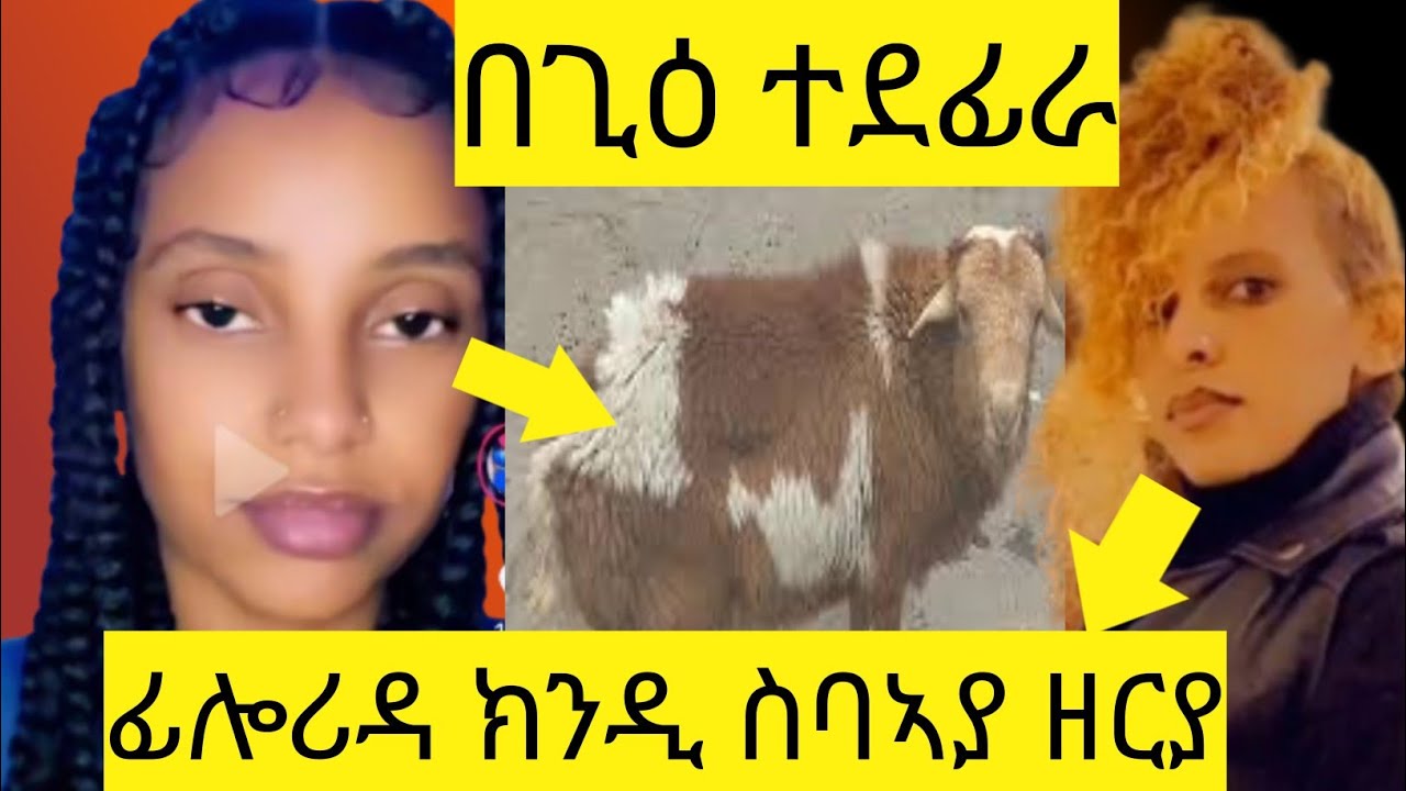 በጊዕ ተደፊራ/ዮርዲ ደንጊፃ/ፊሎሪዳ ክንዲ ሰባኣያ ዘርያ