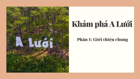 A lưới đi vào hoạt động du lịch năm nào