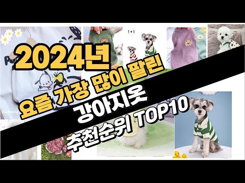 2024년 강아지옷 추천 TOP10 가성비 인기순위 성능 후기 가격비교