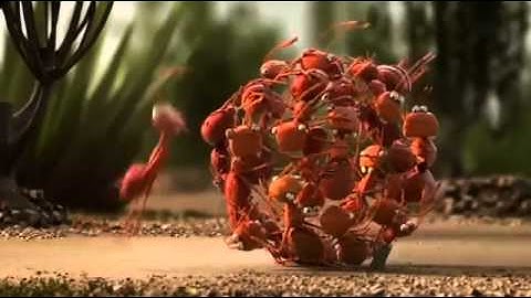 The Power of Teamwork   Funny Animation