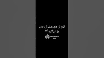 ماهر المعيقلي - سورة المائدة ( برواية حفص عن عاصم ) الأية 106