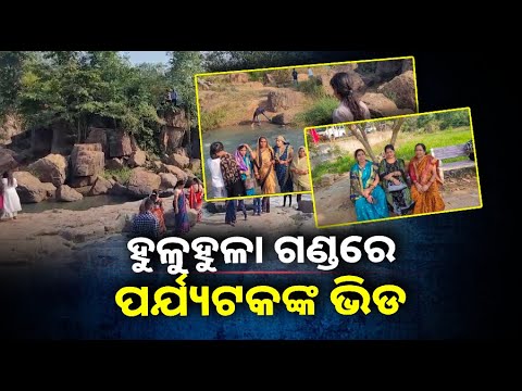ହୁଳୁହୁଳା ଗଣ୍ଡରେ ଚାଲିଛି ଭୋଜିଭାତର ଆସର, ପ୍ରକୃତିପ୍ରେମୀଙ୍କୁ କରୁଛି ଆନମନା ||Knews Odisha