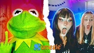 Kermit goes on a roast rampage on Omegle