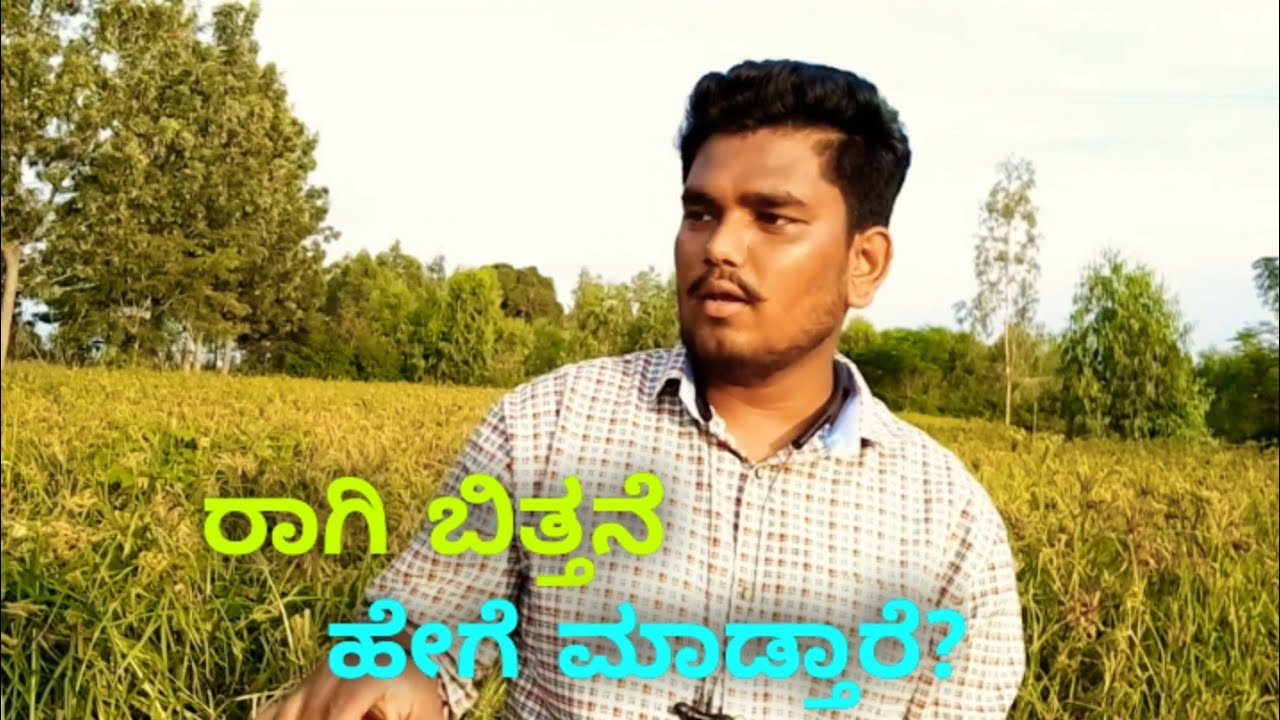 How Ragi Farming is Done?||ರಾಗಿ ಬಿತ್ತನೆ ಹೇಗೆ ಮಾಡ್ತಾರೆ? 