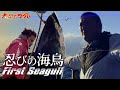 大間のマグロ 忍びの海鳥 FirstSeagull～弥七の伝達～一本釣りぶっつけ漁 まぐろ漁師 南兄弟 龍神RYUJIN