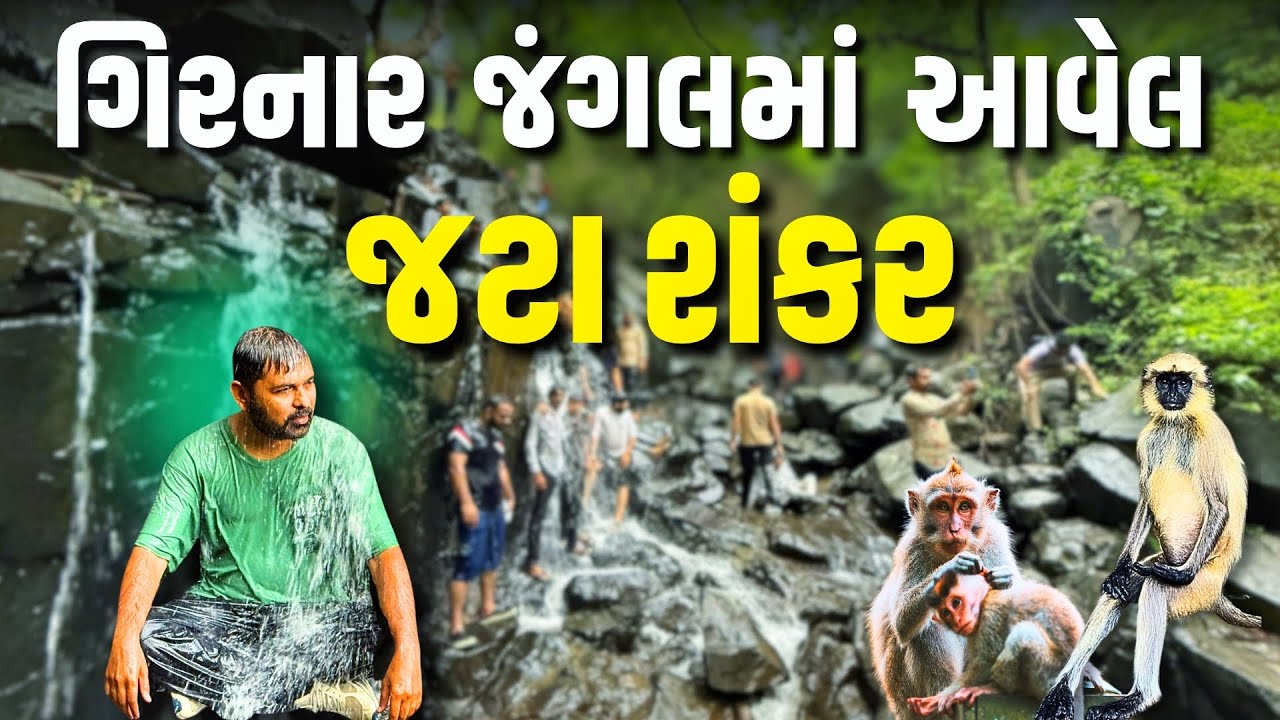 ગિરનાર જંગલમાં આવેલ જટા શંકર | Jata Shankar | Girnar Parvat | Milan Danidhariya