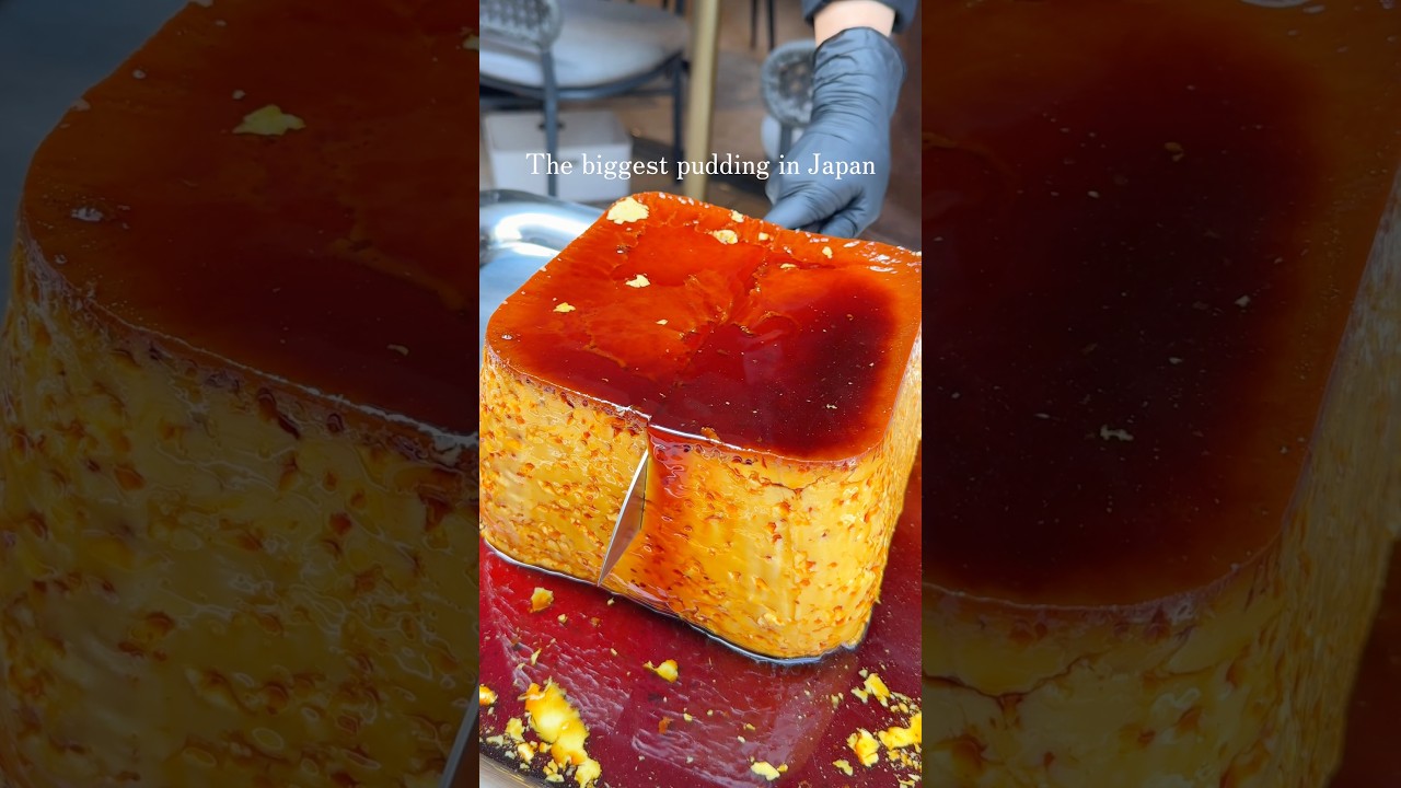 A 4 KG Japanese pudding in Tokyo?! 🍮🇯🇵✨