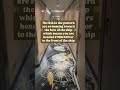 Disney Treasure Tips &amp; Tricks