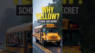 Why School Buses Are Always Yellow #shorts #ytshorts #facts #truth