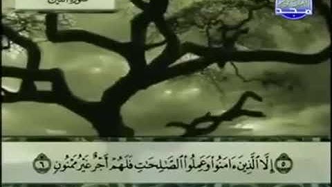 95 - سورة التين تلاوة مرتلة للشيخ عبد الباسط عبد الصمد - تلاوة خاشعة