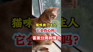 如果猫咪🐱换了主人，它会伤心吗？#养猫经验分享 #新手养猫 #猫咪 #猫咪认主人 #养猫人 #科学养宠  #cat #貓咪日常  #宠物科普