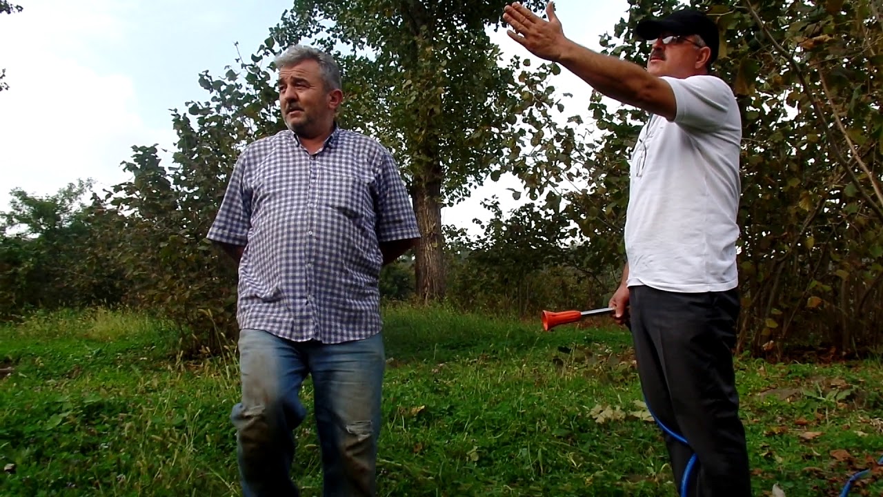 Fındığa, Hasat sonrası besin takviyesi, yeni ürüne hazırlama (Aysa Organik 05434451255)