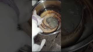 VID 20230921 WA0007