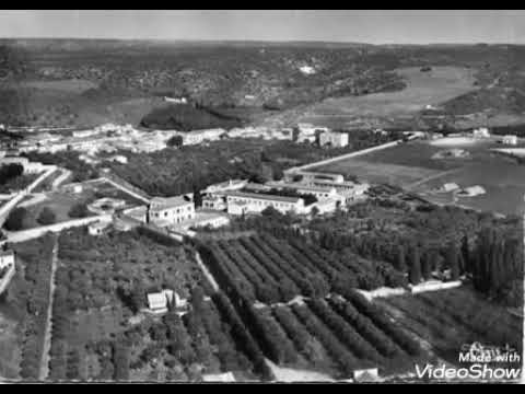 حسون مسرغين الرائع 