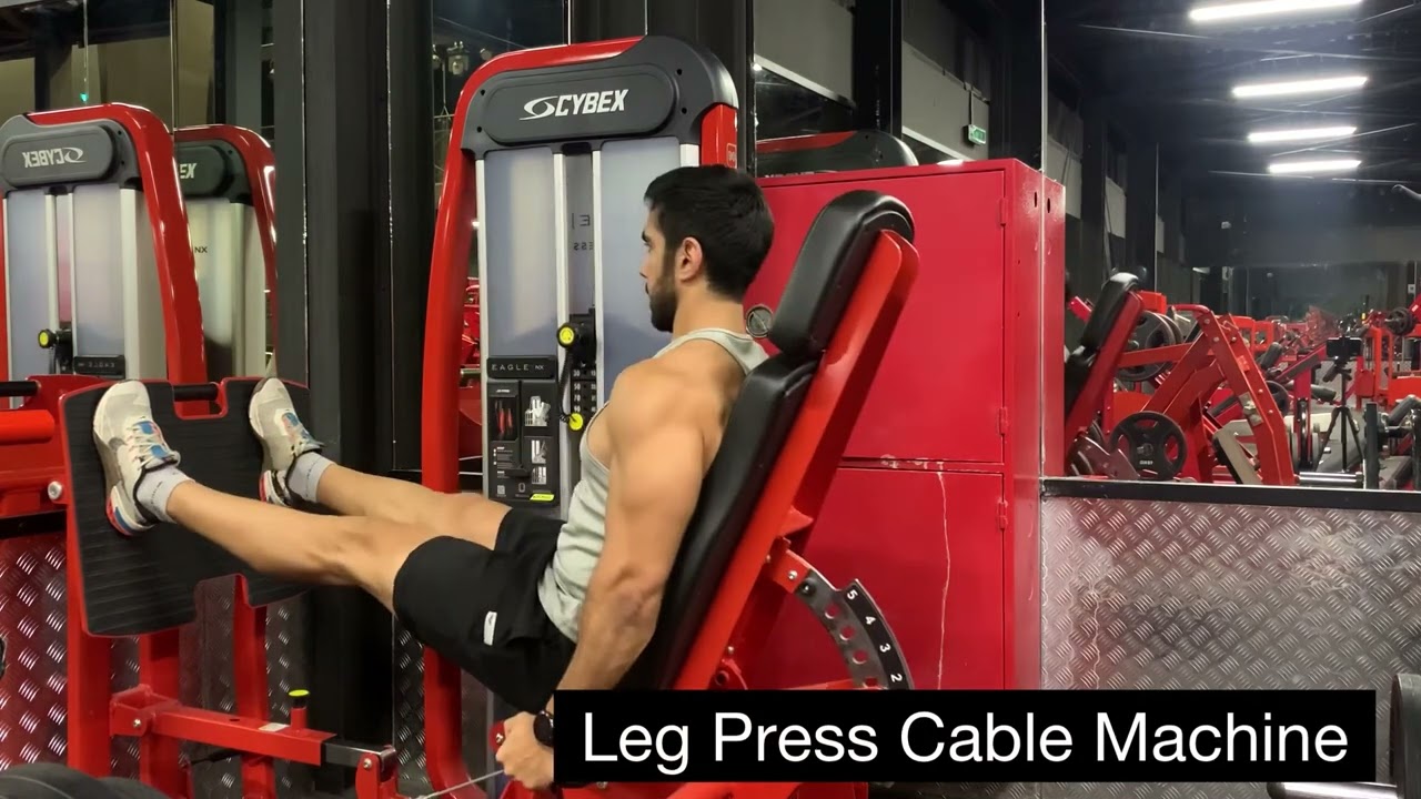Leg Press Cable Machine YouTube