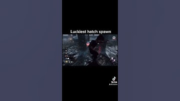 Luckiest hatch spawn