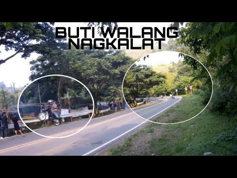 MARILAQUE WARRIOR |