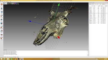 3D Scanning Tutorial -- 4  Processing with Artec Studio 10