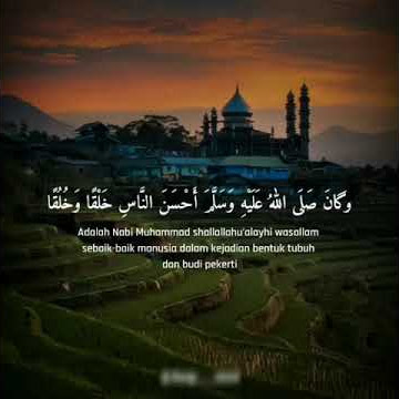 Story WA Sholawat || MAULID DIBA'