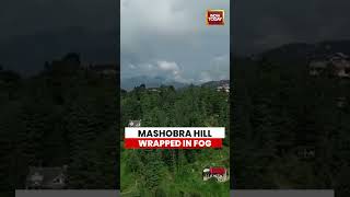 Mesmerising Drone Views Of Fog-Covered Mashobra Hills In Shimla | Himachal Pradesh