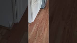 Weathered Oak Stain on Red Oak