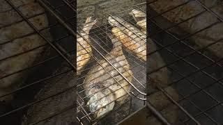 طريقة شوي السمك على الفحم