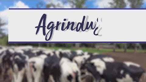 📣 18° LEILÃO ANUAL - AGRINDUS 📣
