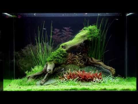 Layout 75 by Tropica