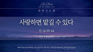 [하늘사랑의교회] 2025. 7. 2. 새벽기도회 | 민수기 강해(24) - 사랑하면 맡길 수 있다(민 14:39-44) | 장윤석 담임목사